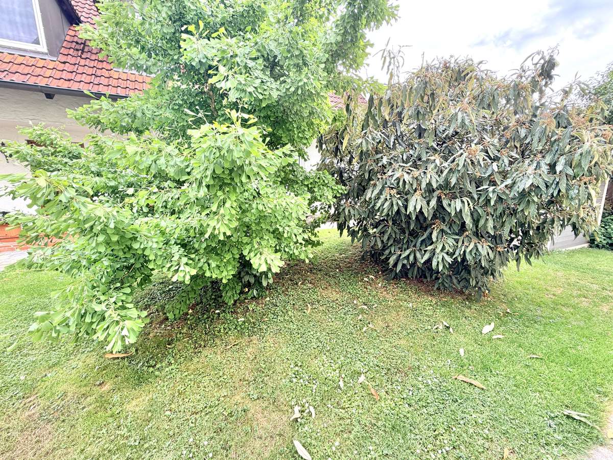Garten Ihr neues Familienzuhause – 3 Zi. Whg. mit Garten zum Wohlfühlen