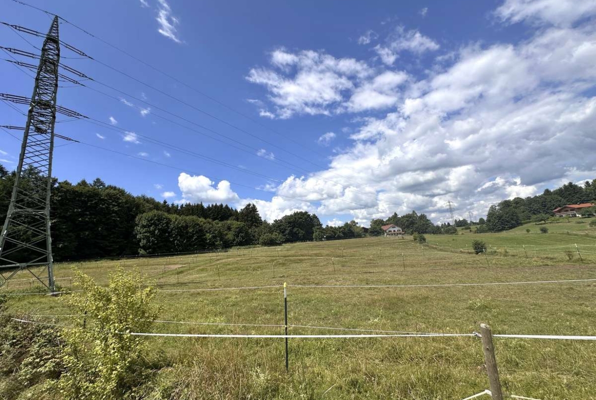 NUR NOCH 1 Grundstücke in Holzkirchen  VERFÜGBAR !!