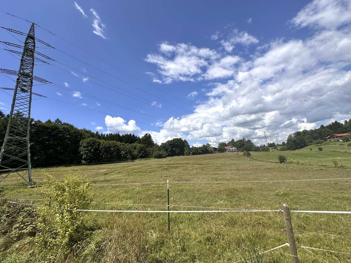 NUR NOCH 1 Grundstücke in Holzkirchen  VERFÜGBAR !!
