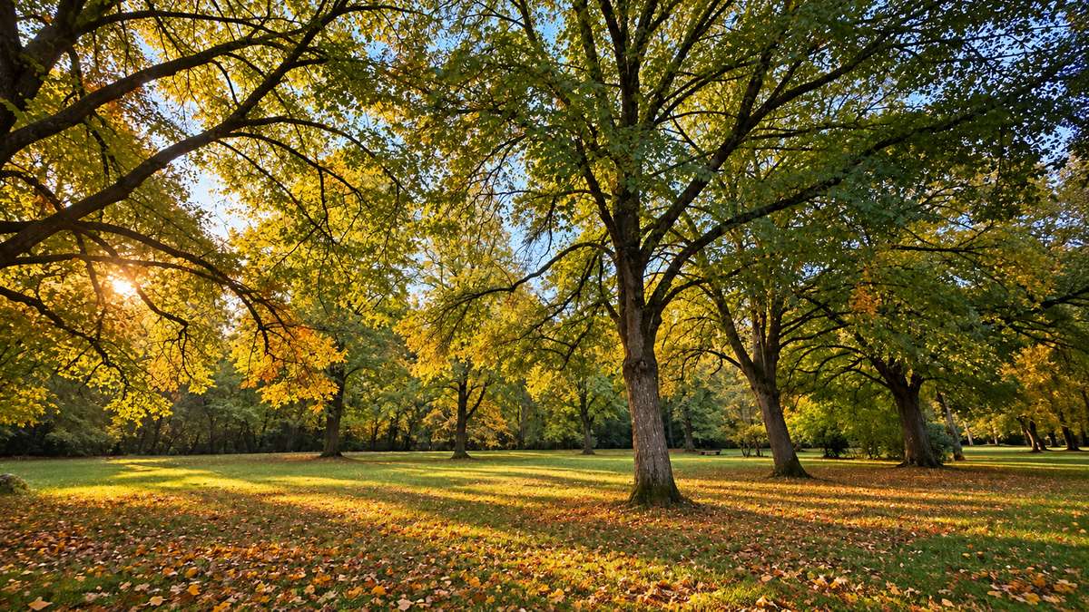Traumhaft wohnen in Harlaching – 2-Zi.-Whg. mit eigenem Garten
