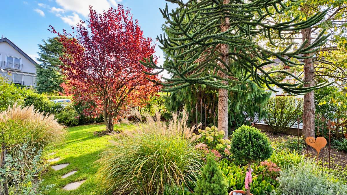 Blick in den Traumgarten Goldbach ruft!! Charmantes 2-Familienhaus mit schönem Grundstück und vielen Möglichkeiten