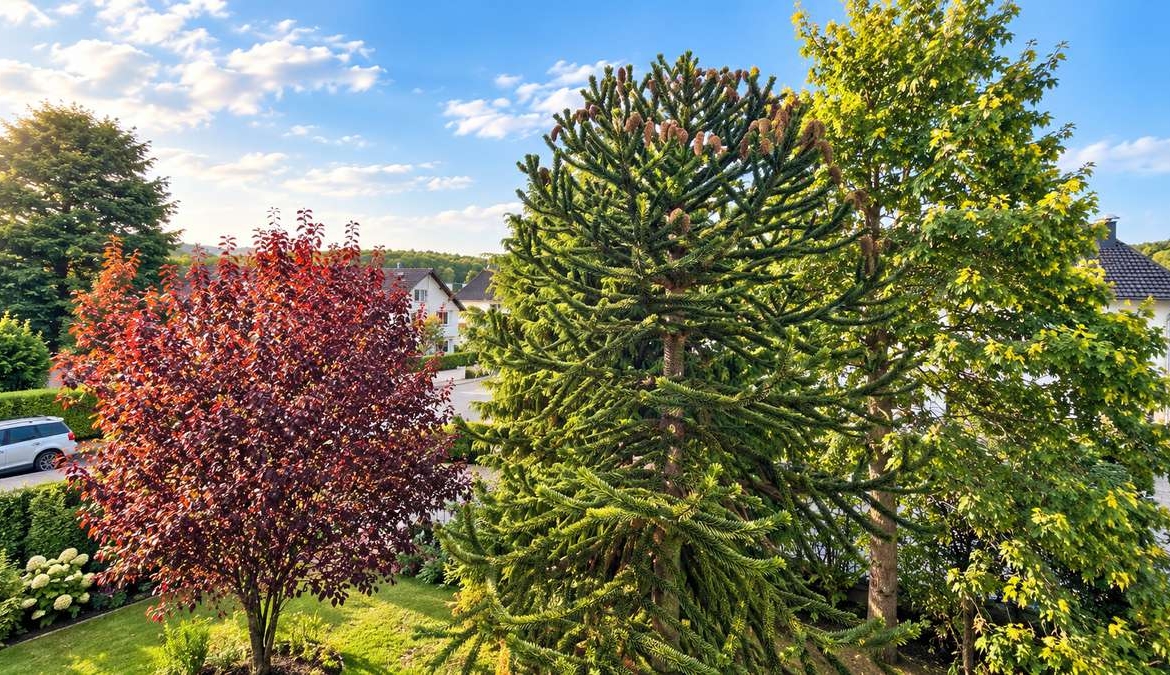 Goldbach ruft!! Charmantes 2-Familienhaus mit schönem Grundstück und vielen Möglichkeiten
