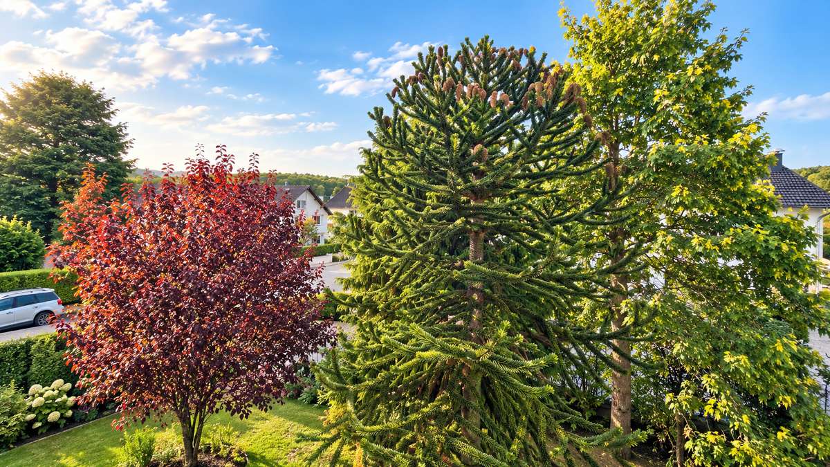 Ausblick vom Balkon (1.OG) Goldbach ruft!! Charmantes 2-Familienhaus mit schönem Grundstück und vielen Möglichkeiten